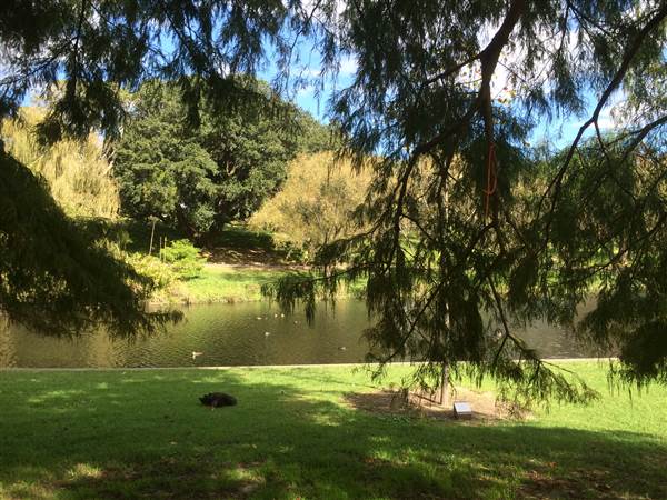 Centennial Park (25/06/2014)