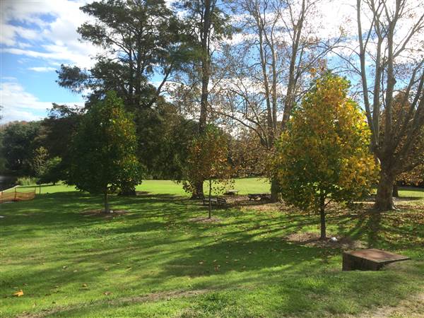 Centennial Park (25/06/2014)