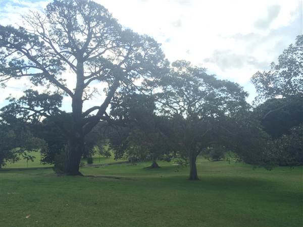 Centennial Park (25/06/2014)