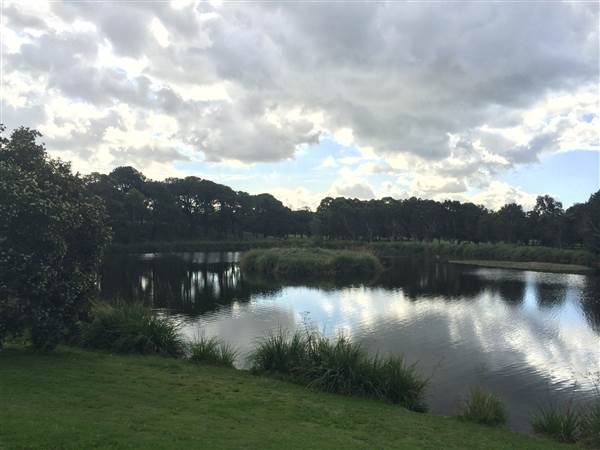 Centennial Park (25/06/2014)