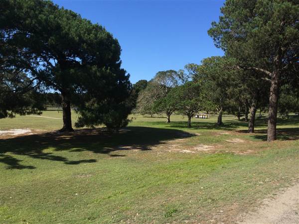 Centennial Park (25/06/2014)