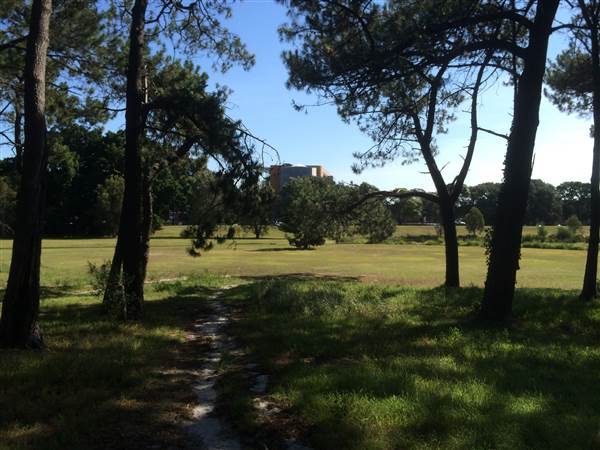 Centennial Park (26/06/2014)