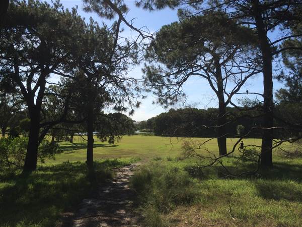 Centennial Park (26/06/2014)