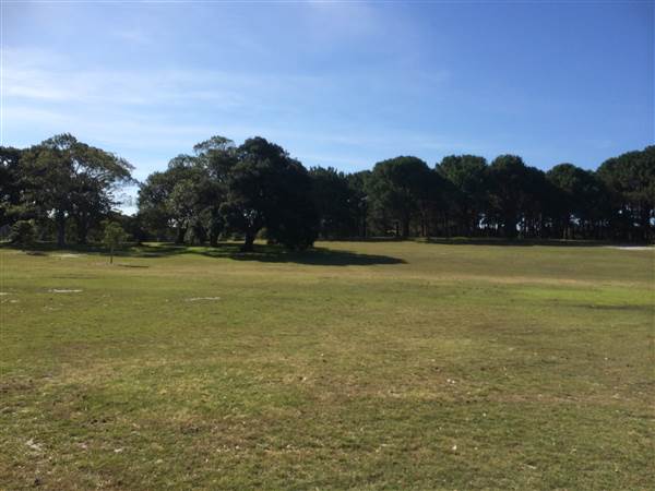 Centennial Park (26/06/2014)