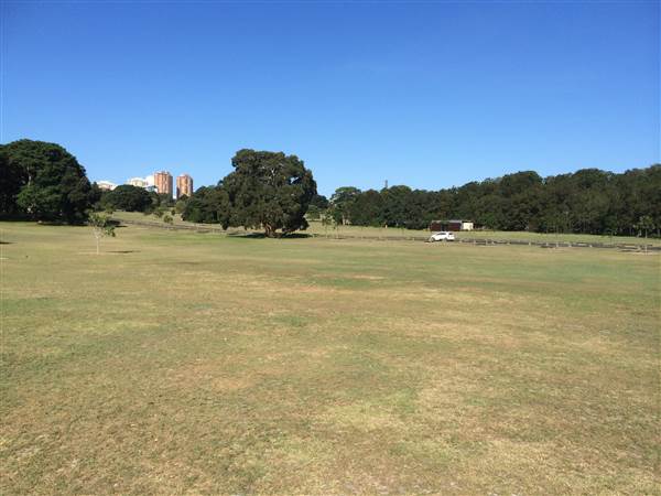 Centennial Park (26/06/2014)
