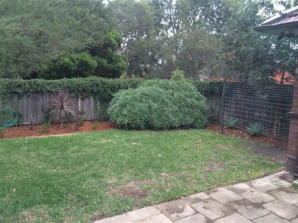 Centennial Park (26/06/2014)