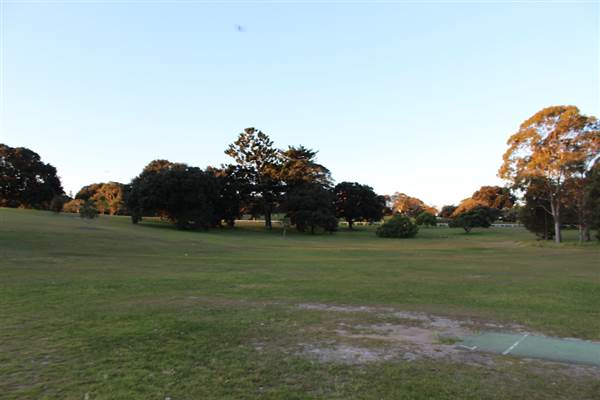 Centennial Park - Loch Ave South (7/07/2014)