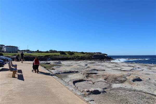 Clovelly Beach (7/07/2014)