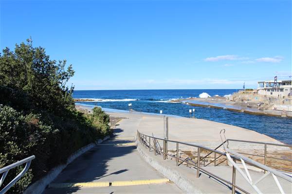 Clovelly Beach (7/07/2014)