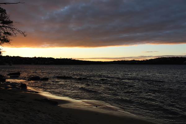 Cobblers Beach - Sydney Harbour National Park (7/07/2014 - Credits: Jeremy Peek)