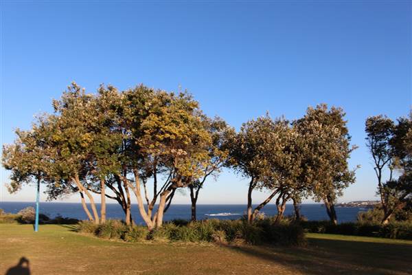 Dunningham Reserve Coogee (9/07/2014 - Credits: Jeremy Peek)