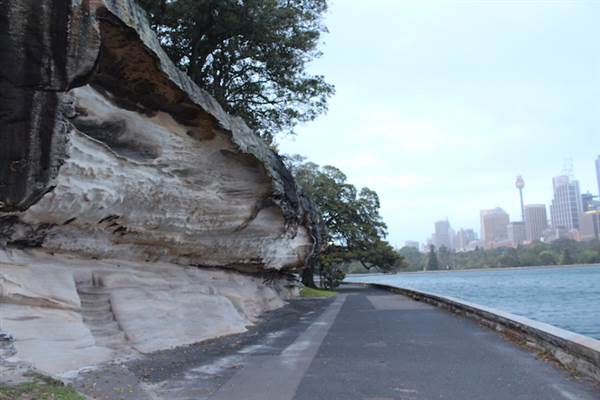 Mrs. Macquarie's Point - Royal Botanic Garden Sydney (24/10/2014)