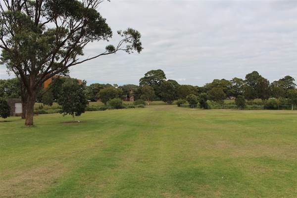 Centennial Park - Ash Paddock (24/10/2014)