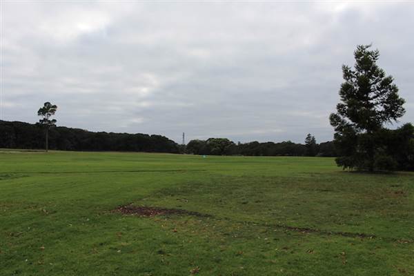 Centennial Park - Brazilian Fields (24/10/2014)