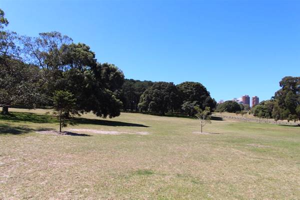 Centennial Park - Brazilian Fields (24/10/2014)