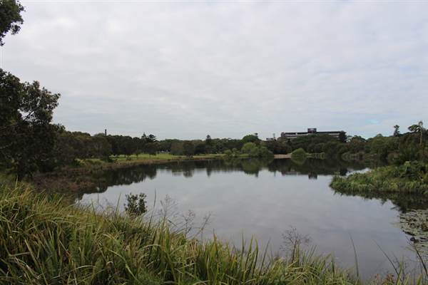 Centennial Park - Church Grounds (24/10/2014)