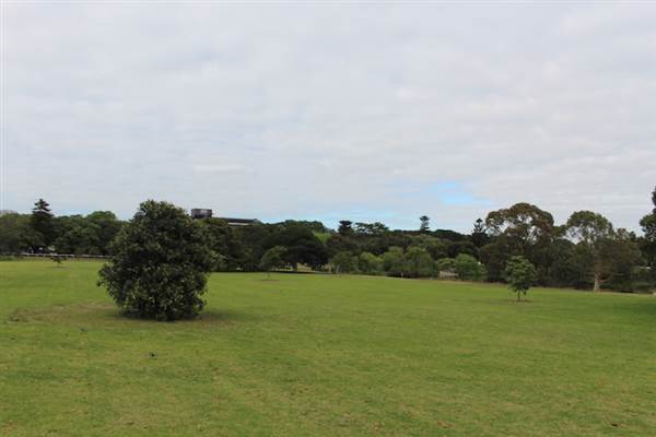 Centennial Park - Church Grounds (24/10/2014)