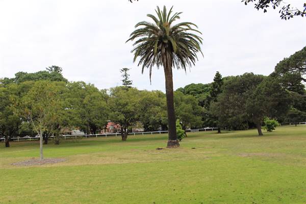Centennial Park - Church Grounds (24/10/2014)