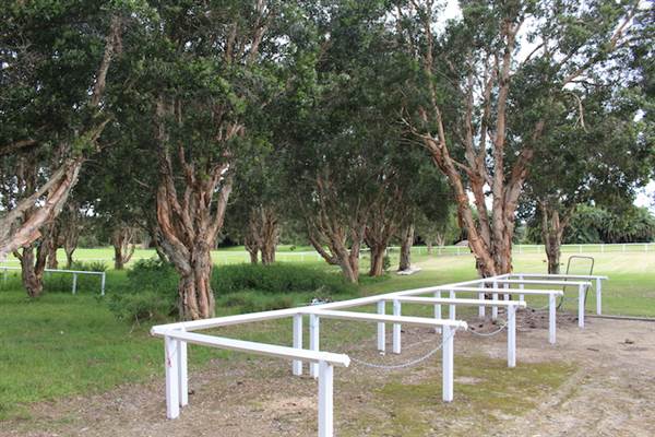 Centennial Park - Equestrian Grounds (24/10/2014)