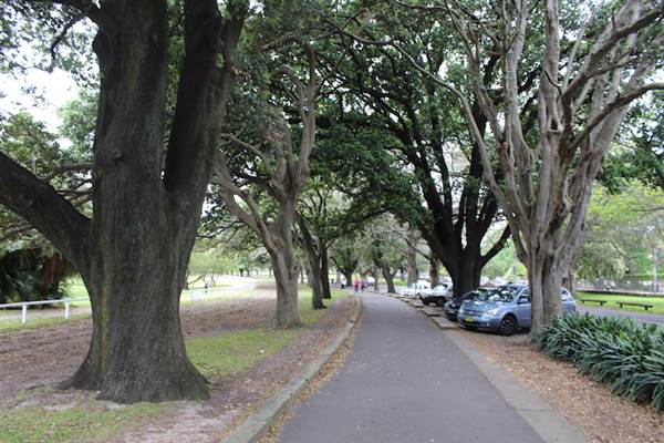 Centennial Park - Equestrian Grounds (24/10/2014)