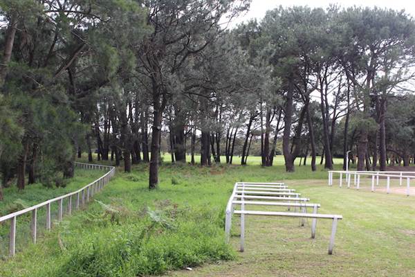 Centennial Park - Equestrian Grounds (24/10/2014)