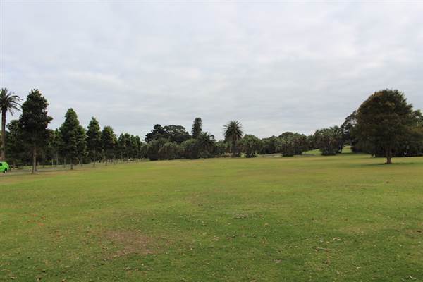 Centennial Park - Lachlan Reserve (24/10/2014)
