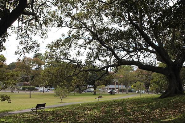 Centennial Park - Mount Steel (24/10/2014)