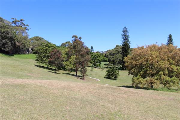 Centennial Park - Queens Park (24/10/2014)