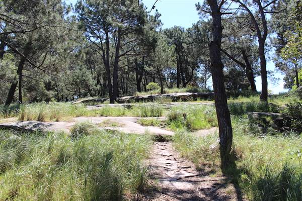 Centennial Park - Sandstone Ridge (24/10/2014)