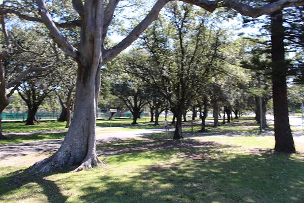 Centennial Park - Federation Way (24/10/2014)