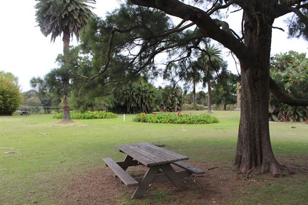 Centennial Park - Frog Hollow (24/10/2014)
