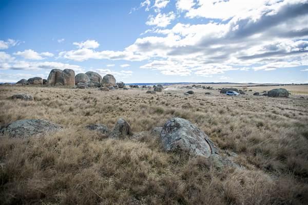 Monaro Plains (14/11/2014 - Credits: Colin McDougall)