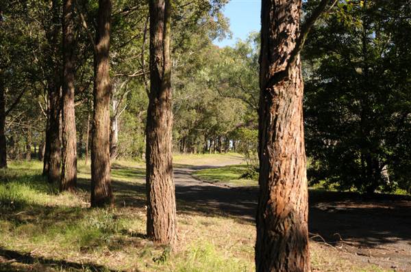 Fagan Park (24/02/2015 - Credits: Phillip Roope)