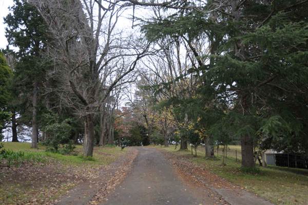 Hillview Heritage Hotel - Southern Highlands (25/05/2011 - Credits: Phillip Roope)