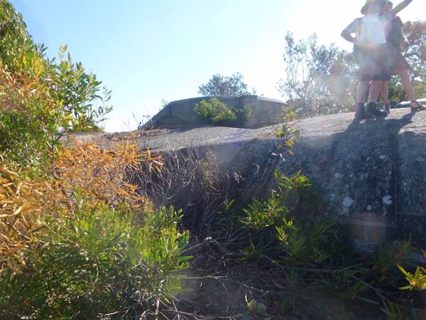 Middle Head Fortifications (13/03/2015)