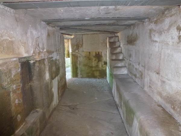 Middle Head Fortifications (13/03/2015)