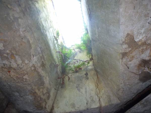 Middle Head Fortifications (13/03/2015)