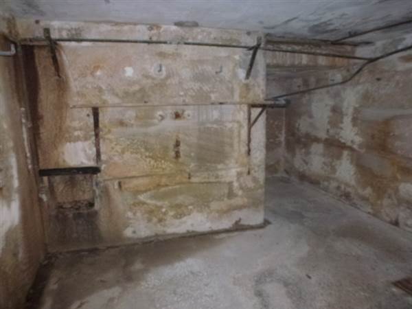 Middle Head Fortifications (13/03/2015)