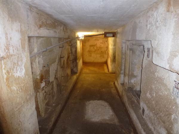 Middle Head Fortifications (13/03/2015)