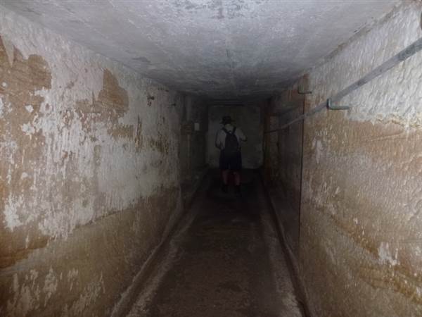 Middle Head Fortifications (13/03/2015)