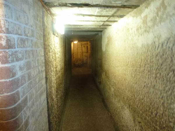 Middle Head Fortifications (13/03/2015)