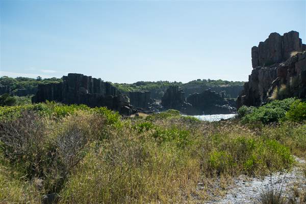 Bombo Headland Quarry (30/04/2015 - Credits: Colin McDougall)