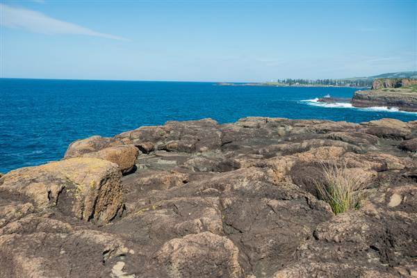 Bombo Headland Quarry (30/04/2015 - Credits: Colin McDougall)