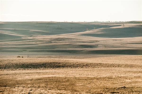 Monaro Plains (20/06/2015 - Credits: Colin McDougall)