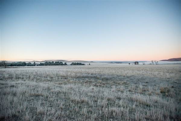 Monaro - Winter Frost (20/06/2015 - Credits: Colin McDougall)