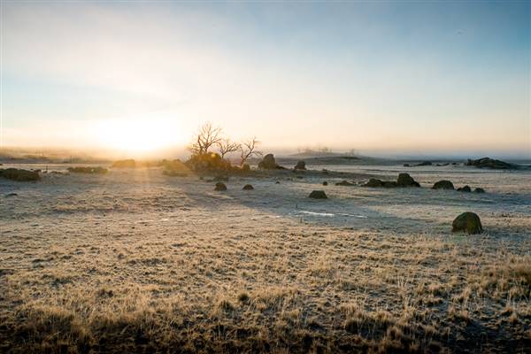 Monaro - Winter Frost (20/06/2015 - Credits: Colin McDougall)