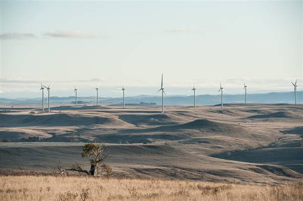 Boco Rock Wind Farm (24/07/2015)