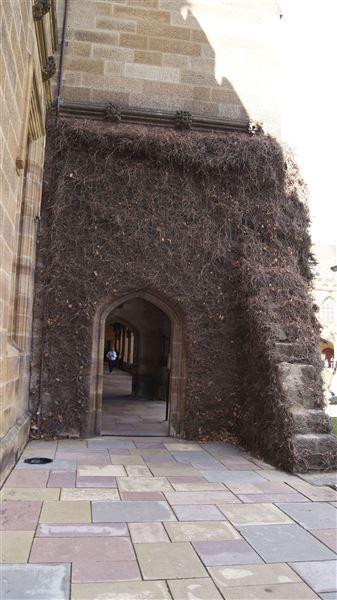 The Quadrangle Building - Sydney University (17/08/2015)