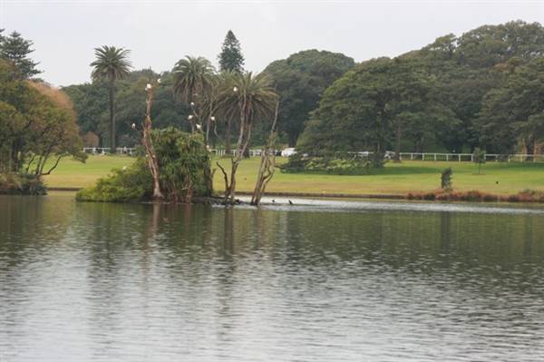 Centennial Park (28/11/2013)