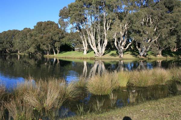 Centennial Park (28/11/2013)